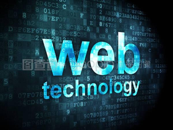 数字背景下的SEO网络开发 技术与策略解析